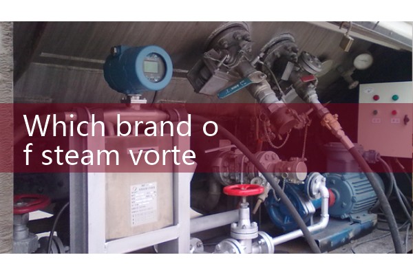 Vortex flowmeter manufacturer